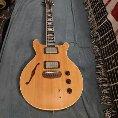 Hamer Duo Tone image 6