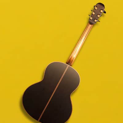 Lowden F-50 Sinker Redwood / African Blackwood w/ LR Baggs HiFi Duet + OHSC image 3
