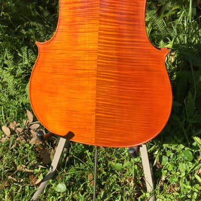 Tenor Violin (half-size cello tuned GDAE) image 9