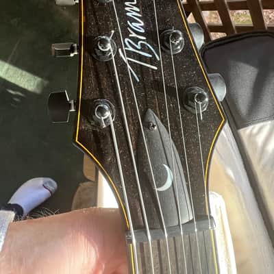 Tim Bram Tribute thinline archtop custom built image 10