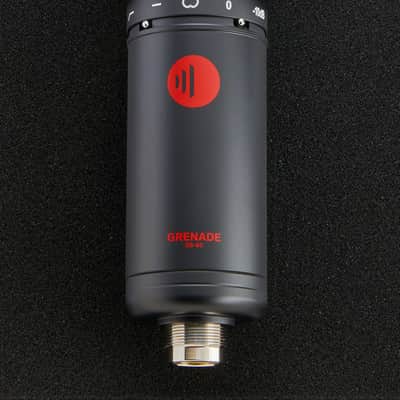 DS-60 Large Diaphragm Condenser Microphone Black image 2