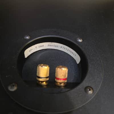 Digital Phase AP-.7 Speakers image 11