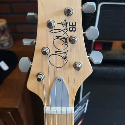 PRS SE Silver Sky 2022 - 2025 - Nylon Blue image 3