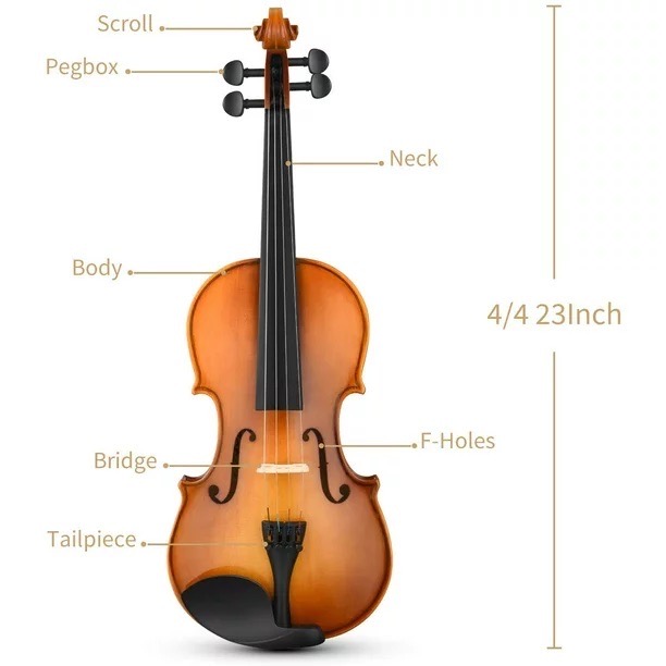 OEM 4/4 Violin Set Full Size Fiddle for Adults Solid Wood with Two Bows photo 2