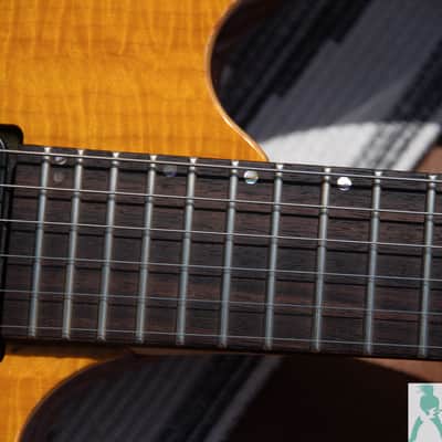 2001 Ibanez J. Custom RG1680 - Made in Japan - Pro Set Up w Perfect Frets/Action/Intonation!! - Shred Master Supreme! image 14
