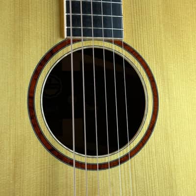 Taylor Custom Gold Label SA Cocobolo / Adirondack #501 w/case 6100 image 7