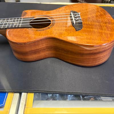 Ortega Elite Series RUET-ACA Concert Ukulele - gloss image 8