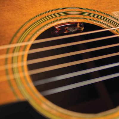 LR Baggs Lyric Classical | Acoustic Microphone System for Nylon String Guitars image 3