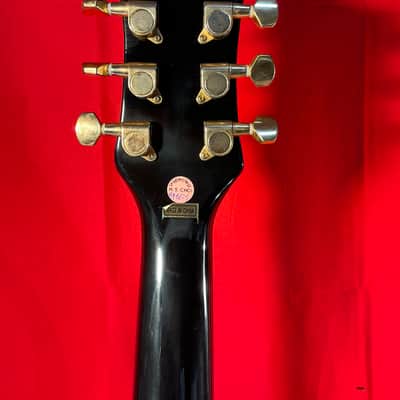 Jay Turser JT-220 image 5