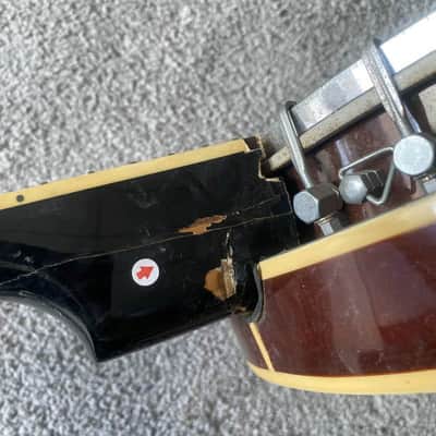J&D 5 String Banjo, Glossy Mahogany Soundbox, Mahogany Neck, Rosewood Fingerboard image 13