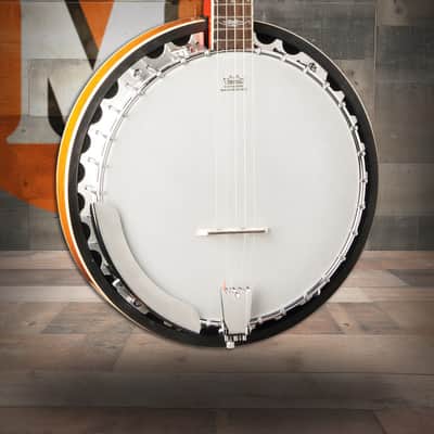 Washburn B10 Americana Series 5 String Banjo (B10-A-U) image 1