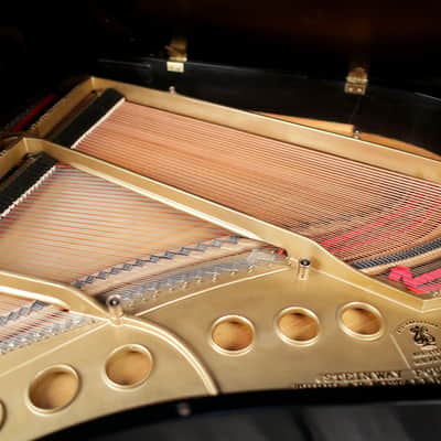 1919 Steinway Grand, Model M - Ebony image 6