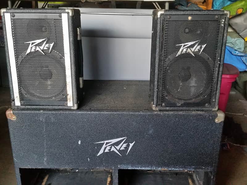 Peavey TRI-FLEX PASSIVE SPEAKER BOX TRI-FLEX 1980's Black | Reverb