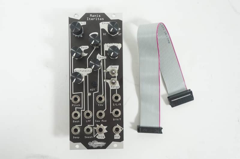 Noise Engineering Manis Iteritas