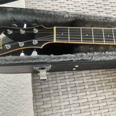 Eastman T186MX semi hollow sunburst with case solid maple top solid mahogany b&s image 5