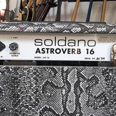 Soldano Astroverb 16 Snakeskin image 10