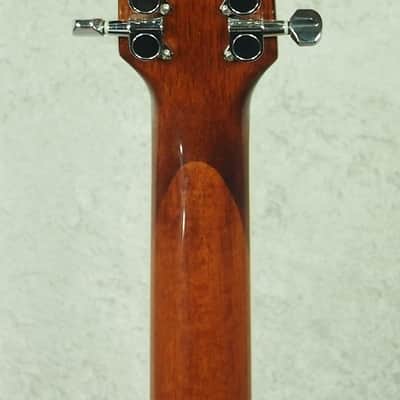 Washburn D10S 12 D-10S12 D 10 S 12 string acoustic guitar image 10