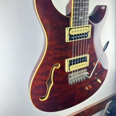 PRS SE Custom 22 Semi-Hollow Tortoise Shell 2019 Europe Exclusive LTD with bag image 6