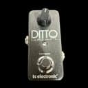 TC Electronic Ditto Looper -x10624
