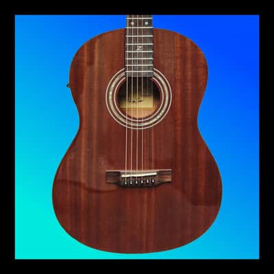 Zager Parlor E/N Acoustic (Used) image 1