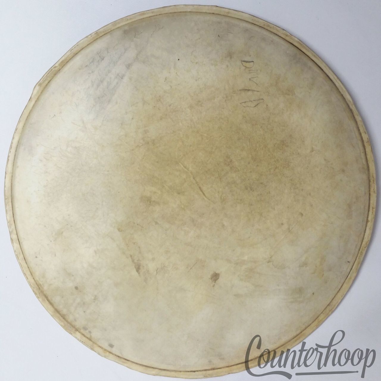 Ludwig & Ludwig 14" Calf Skin Snare/Tom Drum Batter Head Vintage 30s Calfskin* — main photograph