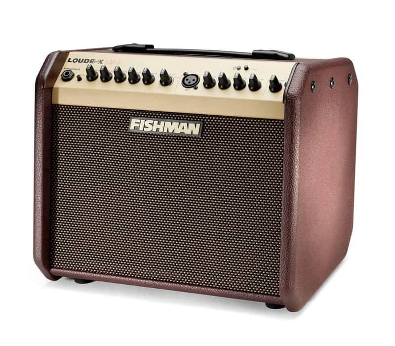 Fishman PRO-LBT-500 Loudbox Mini - 60 watts image 1