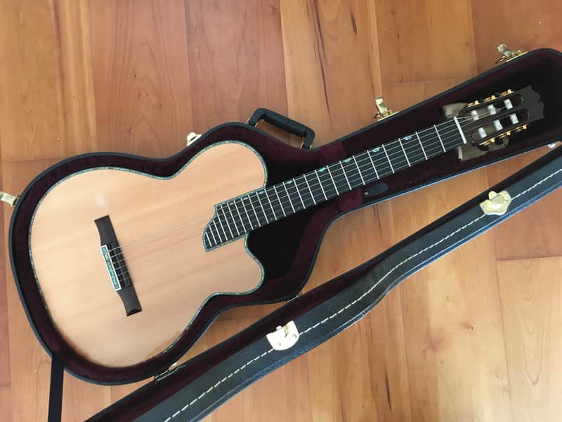 Sand Guitars electric nylon string Mahagoni - Barbera pickup image 1