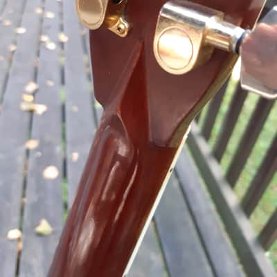 Vintage El Degas D-45 replica image 3