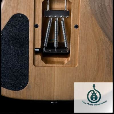 Washburn N4VINTAGE-D Natural Distressed, Nuno Usa Signature Serie w/GCN4 case image 5