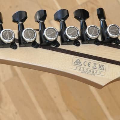 IBANEZ RGD3121 PRF Polar Lights Flat / RGD Prestige Series Made In Japan / RGD3121-PRF / F2334543 image 13