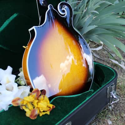 Washburn M3SWK Bluegrass F-Style Mandolin with Hardshell Case- Sunburst image 12