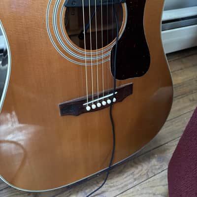 Guild USA D-40 Standard image 5
