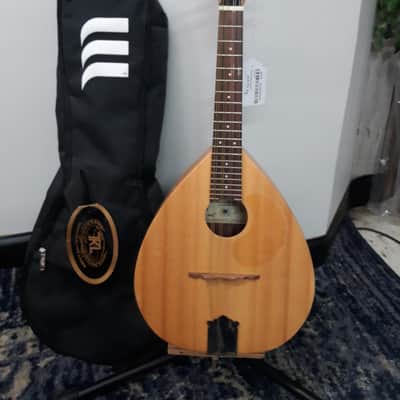 Michael Mederios Mandolin imagen 1