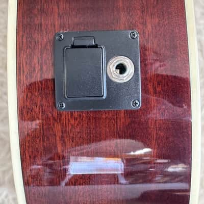TAGIMA SIERRENA XII EQ NT ACOU-ELEC 12 STRING GUITAR NATURAL GLOSS - B Stock image 9