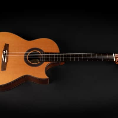 2018 Hanika Fusion PC - Natural | Made in Germany Professional Line Masterbuilt Classical Guitar Cedar Rosewood 50mm Nut Cutaway | CoA OHSC image 3