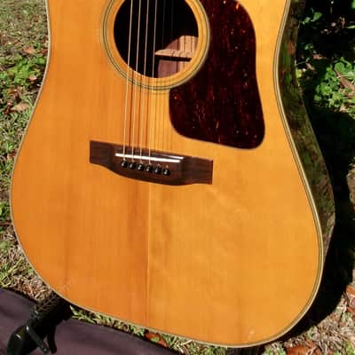 1973 Yamaki G-30, Gallagher Doc Watson style guitar image 2