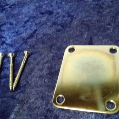1990s Mighty Mite Chrome Neck Plate w/screws image 2