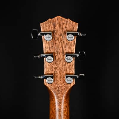 Taylor Gold Label 514e w/ Sitka Spruce Top & Tropical Mahogany Back and Sides Acoustic-Electric Guitar 2025 (1209295021) image 8