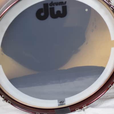 DW Collector's Exotic Santa Monica Copper Glitz image 12