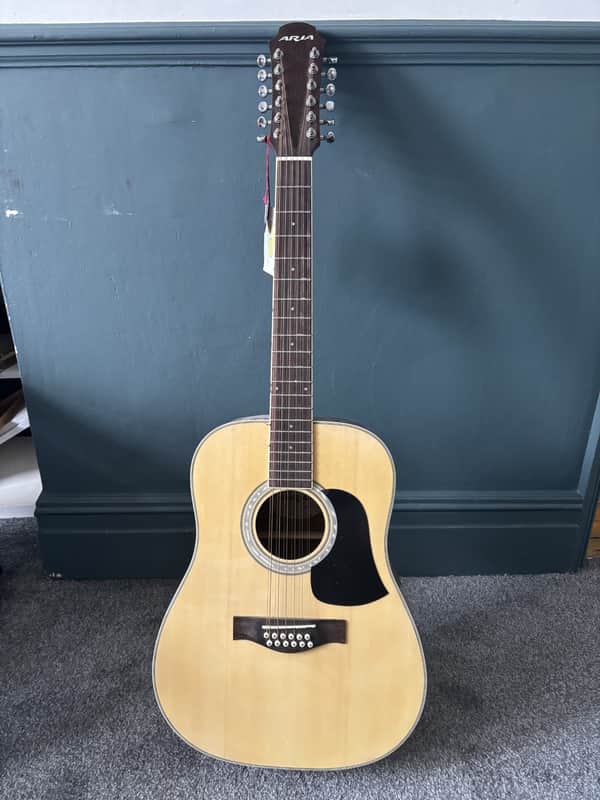 Aria 12 string Dreadnought AW 20 - T - N image 1