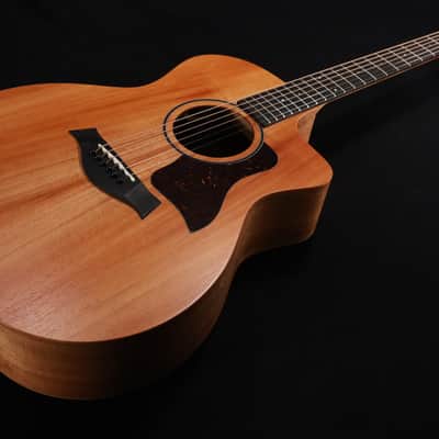 Taylor 24ce Mahogany Top with African Sapele Back and Sides with Fishman Pickup NEW PRODUCT 320 image 3