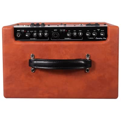Recording King AR-A60 Songwriter 60 Amplifier Accoustic & Voice Amp image 4