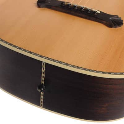 Washburn R320 SWRK Parlor Acoustic Guitar w/Case USED image 12