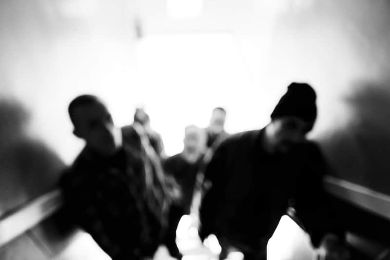 ISOLATE/CREATE - Wear Your Wounds - "Shrinking Violet" image 1