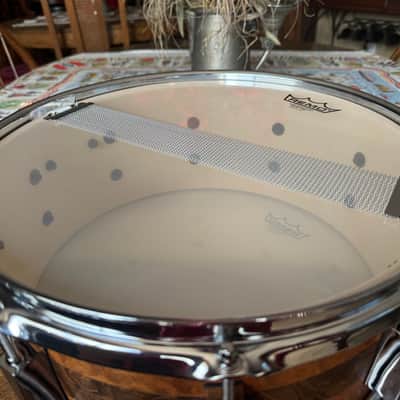 ~NEW!~ Pork Pie Decaf Macchiato Maple 6.5x14 Snare Drum in Satin Burled Walnut with Sapele Stripe image 8