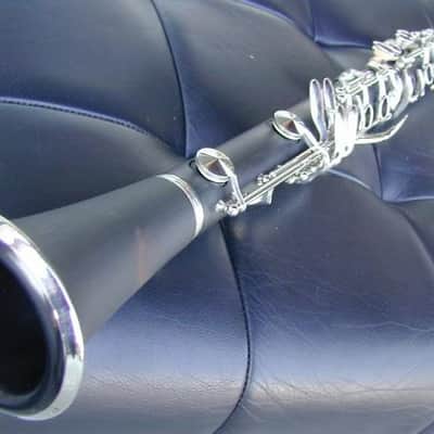 berkeleywind Excellent profession Bb Clarinet image 1
