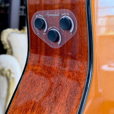 YAMAHA FGX-5 High Gloss image 2