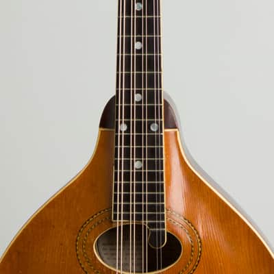 Gibson  Style H-1 Carved Top Mandola (1910), ser. #9789, original black hard shell case. image 8