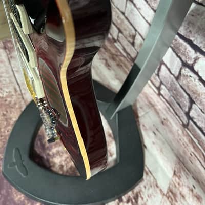 PRS Studio Wood Library 10 Top Flame Fire Redburst Mahagony Back Red Tiger Paisley image 5