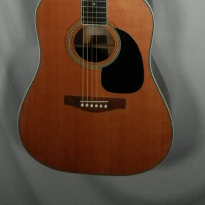 A LoPrinzi LR-20 Dreadnought Acoustic Guitar with case used image 6